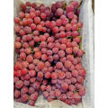 new season high quality red globe grapes